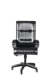 The Segment Mid-Back CEO Chair AC-11
