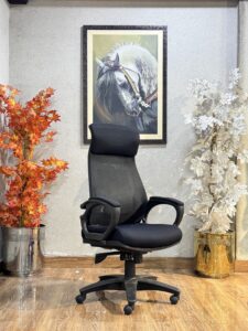 Apex Comfort Back Executive Chair EC-05
