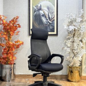 Apex Comfort Back Executive Chair EC-05
