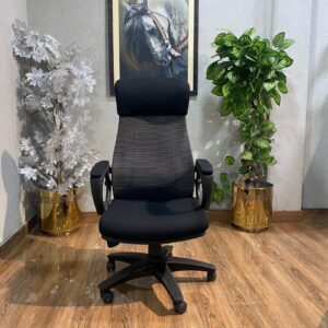 Apex Comfort Back Executive Chair EC-05