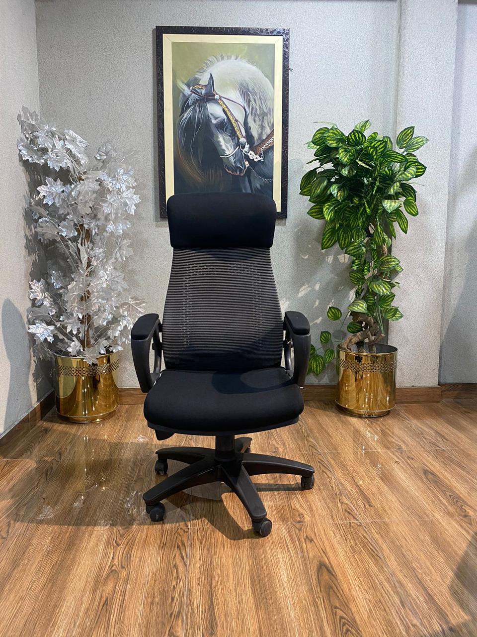 Apex Comfort Back Executive Chair EC-05