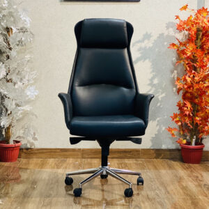 Edmund CEO Chair-AC 04