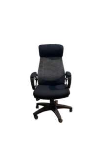 Apex Comfort Back Executive Chair EC-05