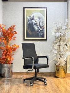 AeroMesh Ergonomic Task Chair OC-10