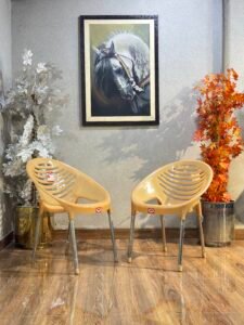 Bosen Plastic Chair Pair P-06