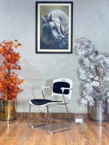 Zest Ergonomic White Visitor Chair VC 02