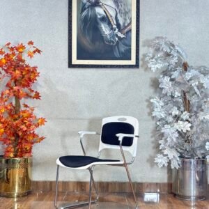 Zest Ergonomic White Visitor Chair VC 02
