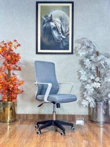 Vanguard Ergonomic Grey Mesh Office Chair OC 12