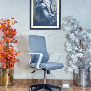 Vanguard Ergonomic Grey Mesh Office Chair OC 12