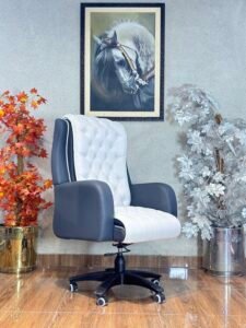 Wingback White & Grey CEO Chair AC 19
