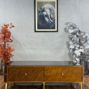 Modern Low-Profile Coffee Table CT 21