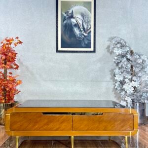 Mid-Century Glam Low-Profile Center Table CT 22